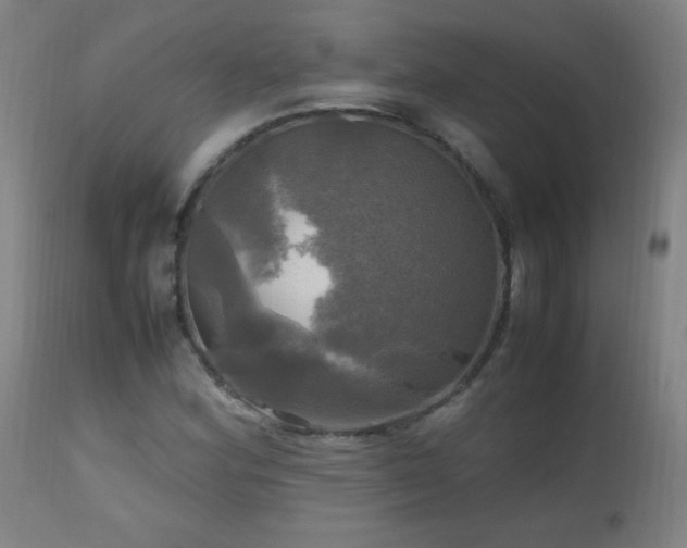 X0000112971164200908271135