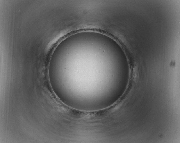 X0000112971165200908271135