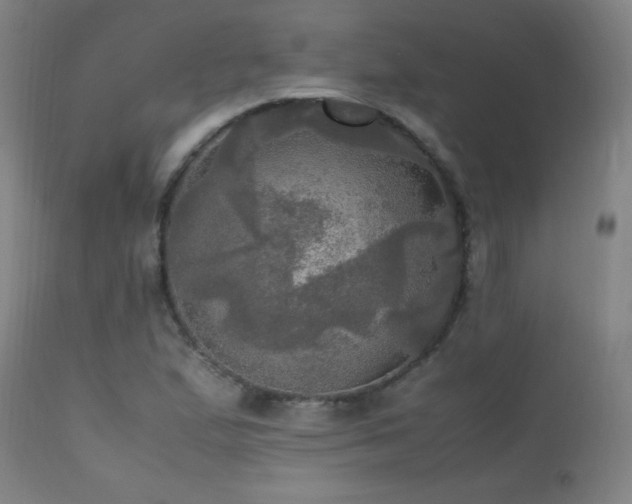 X0000112971167200908271134