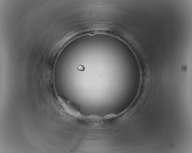 X0000112971169200908271134