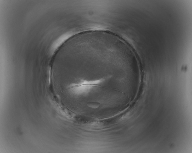 X0000112971171200908271134