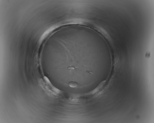 X0000112971172200908271134