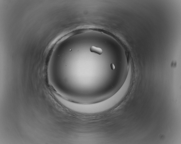 X0000112971173200908271134