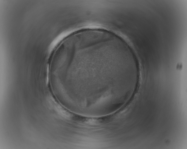 X0000112971175200908271134