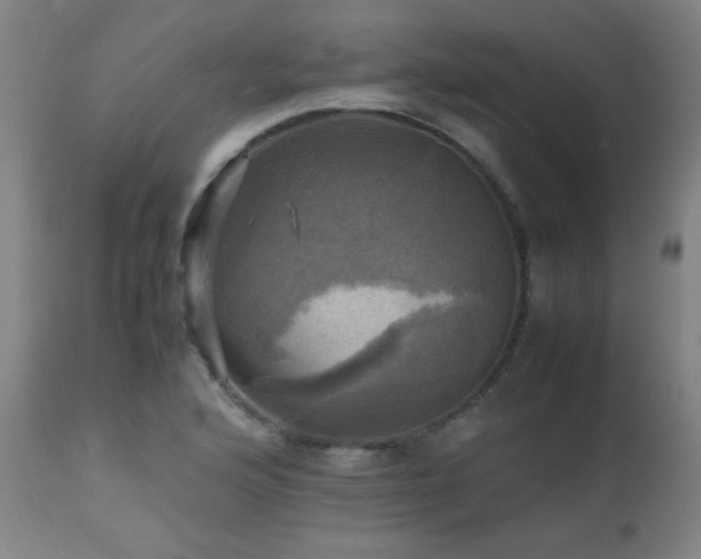 X0000112971176200908271134