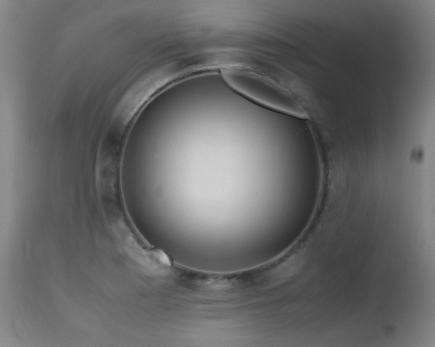 X0000112971177200908271134
