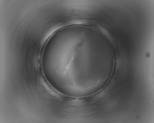 X0000112971178200908271134