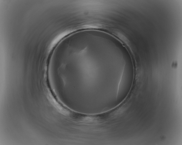 X0000112971179200908271134