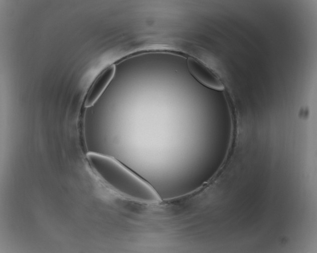 X0000112971181200908271134