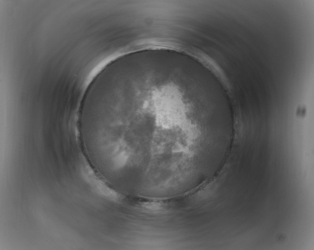 X0000112971182200908271134