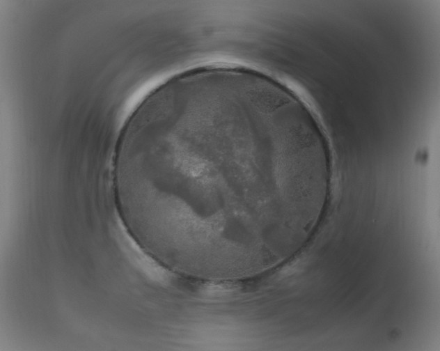 X0000112971183200908271134