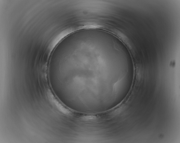 X0000112971186200908271134