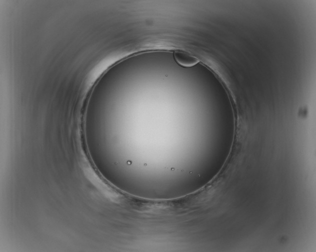 X0000112971187200908271134