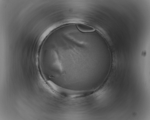 X0000112971188200908271134