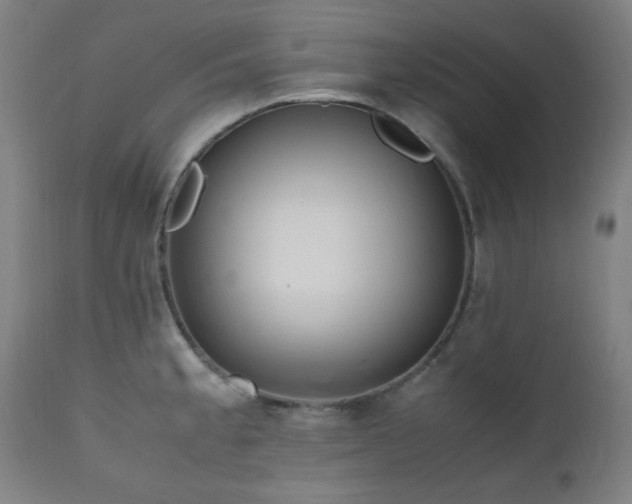 X0000112971189200908271134