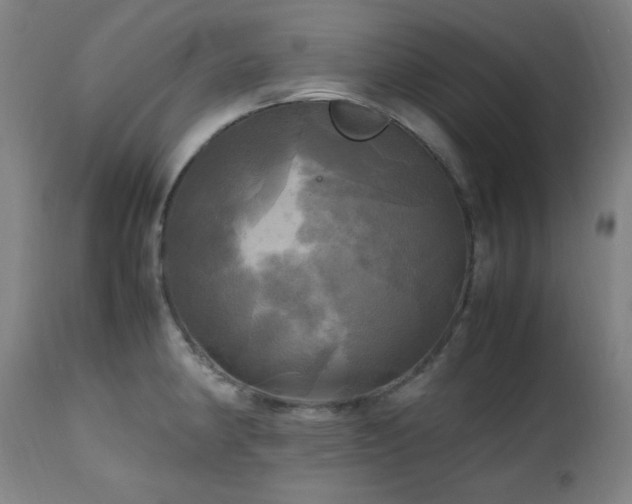 X0000112971190200908271134