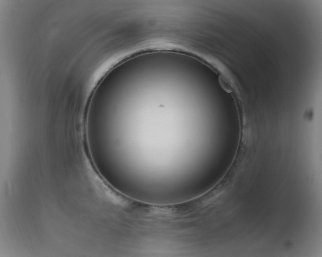 X0000112971191200908271134