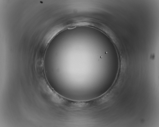 X0000112971193200908271134