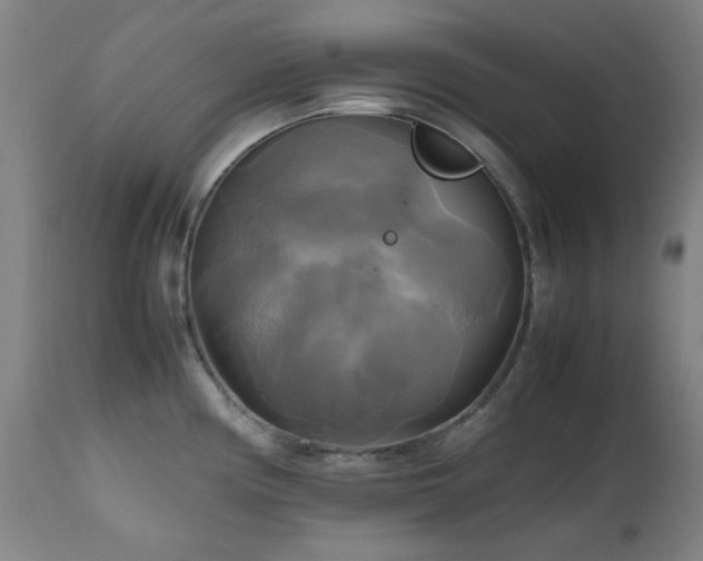 X0000112971194200908271134