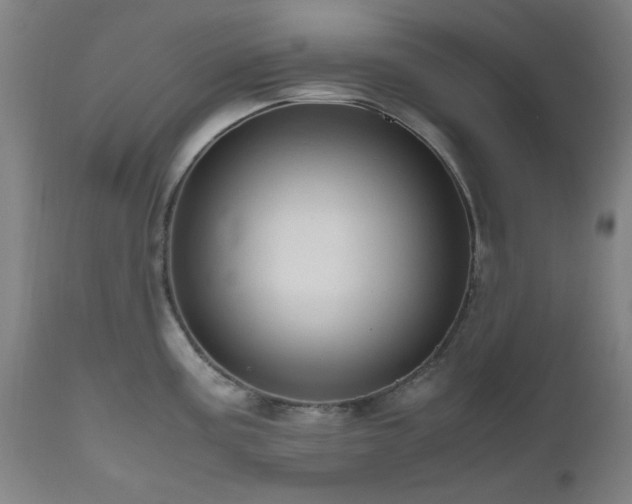 X0000112971195200908271134
