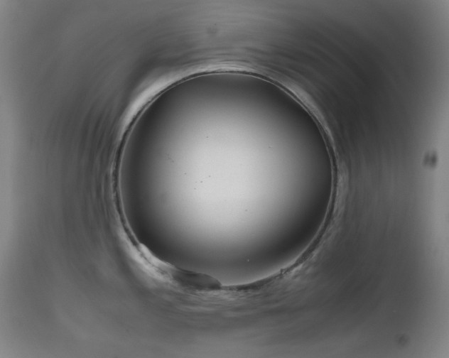 X0000112971197200908271134