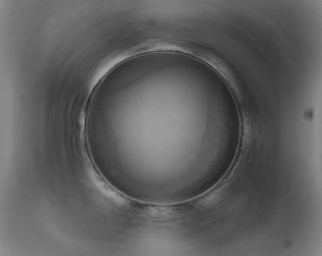 X0000112971198200908271134