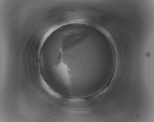 X0000112971200200908271134