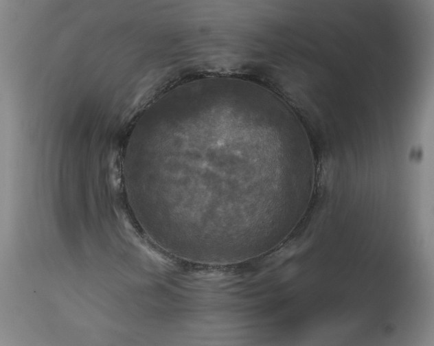 X0000112971202200908271133