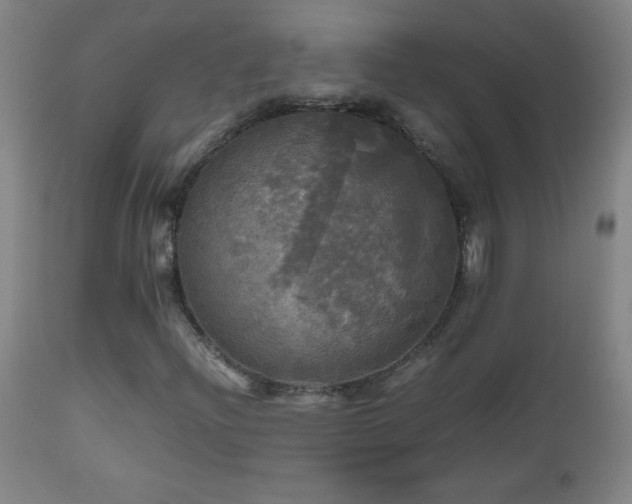 X0000112971204200908271133
