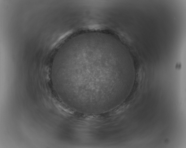 X0000112971205200908271133