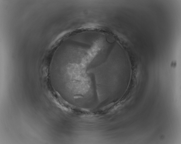 X0000112971206200908271133