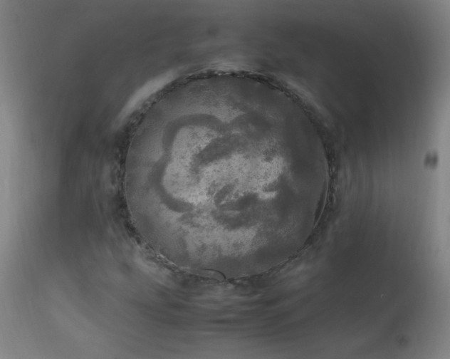 X0000112971207200908271133