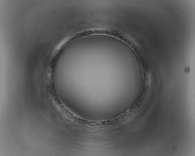 X0000112971208200908271133