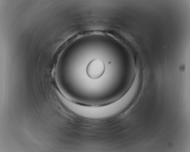 X0000112971209200908271133
