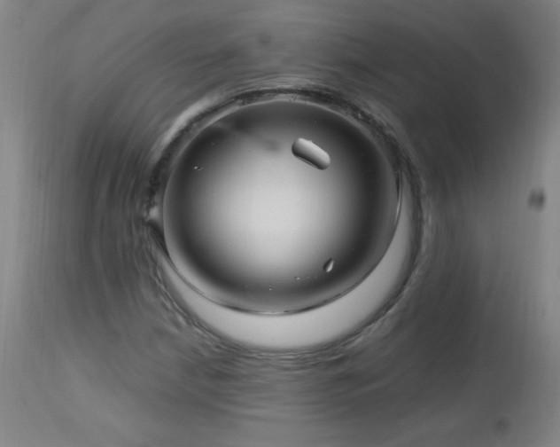 X0000112971210200908271133