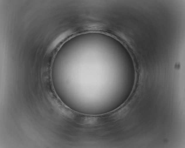 X0000112971211200908271133
