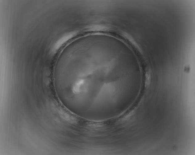 X0000112971213200908271133