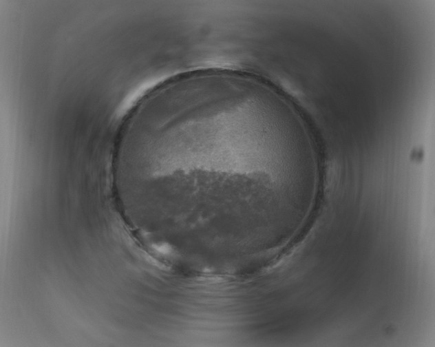 X0000112971214200908271133