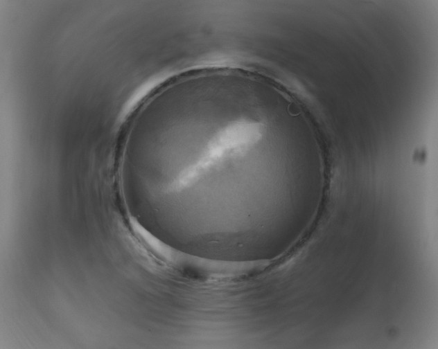 X0000112971216200908271133