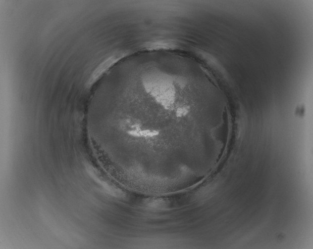 X0000112971217200908271133