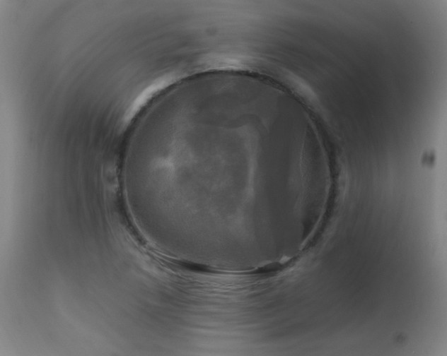 X0000112971218200908271133
