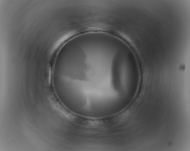 X0000112971219200908271133