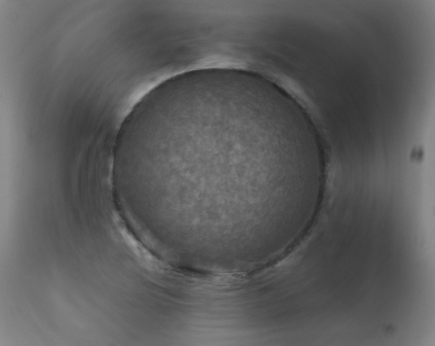 X0000112971220200908271133