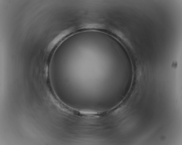 X0000112971221200908271133