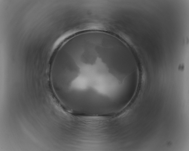 X0000112971222200908271133