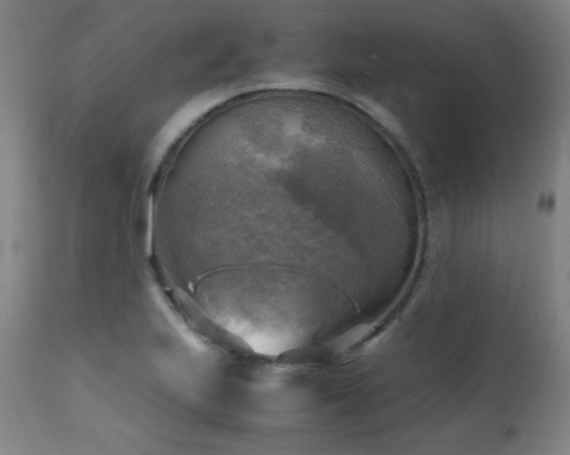 X0000112971223200908271133