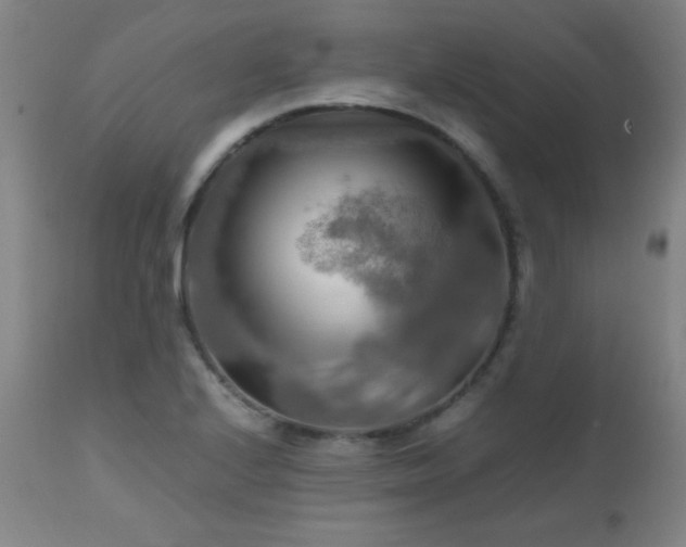 X0000112971224200908271133