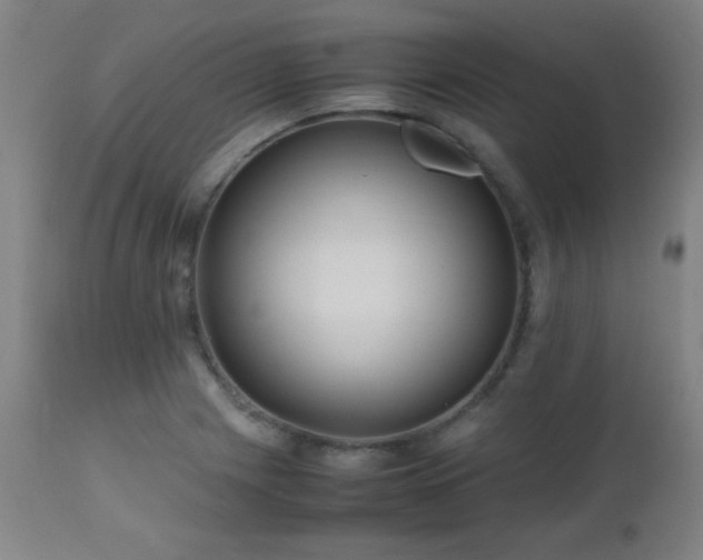 X0000112971225200908271133