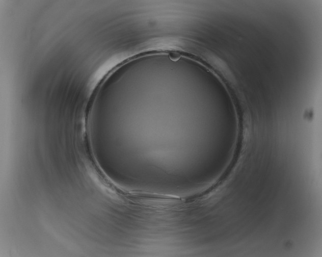 X0000112971226200908271133