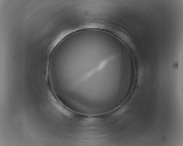 X0000112971228200908271133